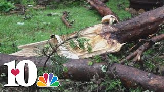 Mayor: One dead after tree falls on car in Claiborne County