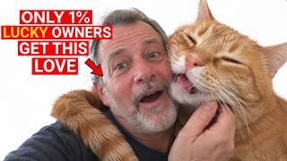 Information 21 Rare Behaviors Cats Show ONLY When They Love You Deeply News
