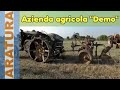 Aratura con trattori d'epoca, "Azienda Agricola Demo"