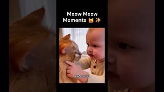 Meow Meow Moments That Will Melt Your Heart 😻 #shorts  #studynestvlogs