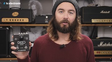 TC Electronic Ditto X2 Looper