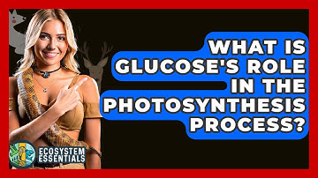 What Is Glucose
