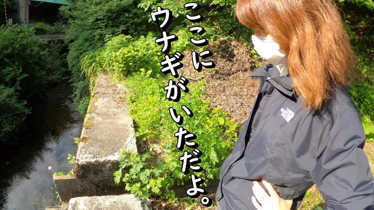 【うなぎ釣り】妻がウナギを見たと言った。君を信じて良かったよ。