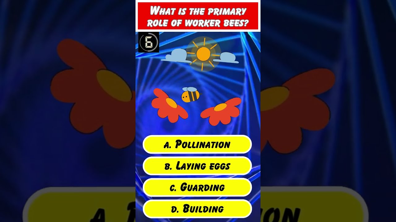 Trivia Tykes - Insect Knowledge Quiz