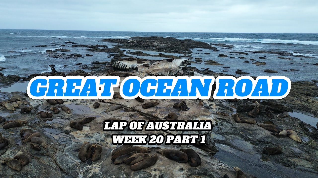 Lap of Australia:  GREAT OCEAN ROAD PATCH HUNT, WILD KOALAS & NYE in South Australia!