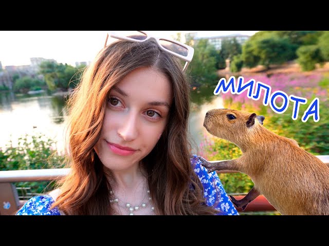КАПИБАРЫ 💕 Московский зоопарк