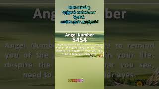 Famous The meaning of seeing the angel number 5454 in person!| 5454 angel number meaning | #angel number Net Worth