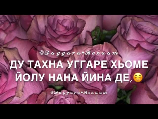 Марнана декъал еш дешнаш. Декъал веш дешнаш. Дал декъал войл хьо ваша. Винчу денца декъал веш. Декъал веш дешнаш.