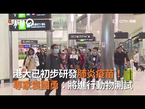 港大已初步研發肺炎疫苗！專家袁國勇：將進行動物測試｜武漢肺炎｜香港大學