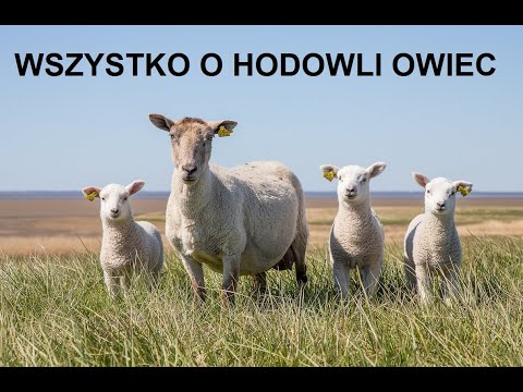 -9- ZWIERZĘTA GOSPODARSKIE: