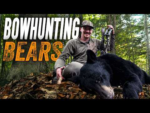 Bowhunting Bears | Two Bears in 2 Days!