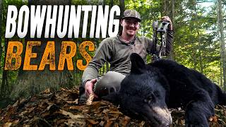 Bowhunting Bears | Two Bears in 2 Days!