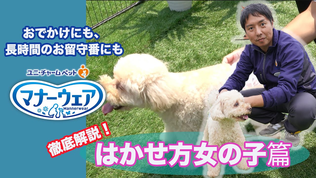 【公式】初めてでも安心！マナーウェアサイズの選び方・はかせ方 完全ガイド　Part4 はかせ方女の子篇