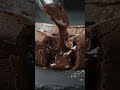 Chocolate lava cake bake 🍫🍫 subscribe 🥺#chocolate#chocolate #dessert #recipe #aicooking #asmrcooking