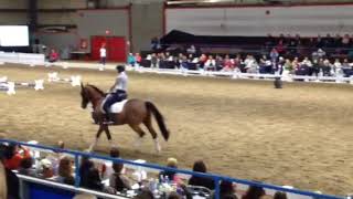 Ingrid Klimke clinic dressage day screenshot 4