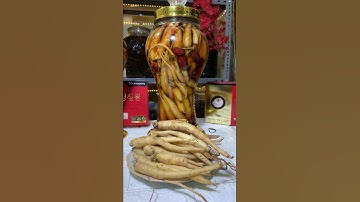 Rượu ngâm đẳng sâm với tắc kè