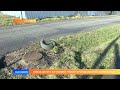 Новая дорога в Рузаевке «топит» огород местной жительницы