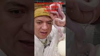 Cow pitón reticulado y súper phantoms naciendo hoy.