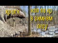 Хороший коп по Киевской Руси в Зимнем Лесу коп с XP ORX 22 HF &amp; XP DEUS коп 2021