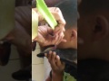 Pengobatan Tradisional