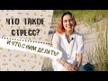 Как правильно справляться со стрессом? (Калининградский спешл)