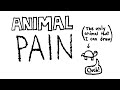 The Problem Of Animal Pain mp3