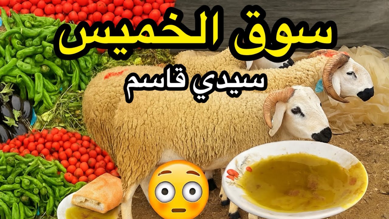 جولة في سوق الخميس سيدي قاسم  🔥السوق الاسبوعي وتجربة أكل البيصارة 😻
