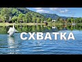 Экстренный выпуск! Попытка захвата территории с гнездом, спор лебедей