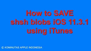 How to SAVE shsh blobs iOS 11.3.1 using iTunes How to SAVE shsh blobs iOS 11.3.1 using iTunes