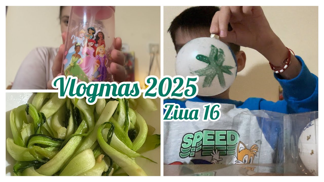 🎄Vlogmas 2025🎄Ziua 16✨Haul pepco | Salata chinezeasca si Globuri de sticla