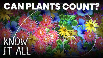 Can Plants Count? | Know It All S1E16 | FULL EPISODE | Da Vinci