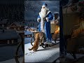 пойдем пушистиков поздравлять  #cat