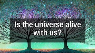 Are We Truly Connected to the Universe? Exploring Cosmic Interconnection and Consciousness