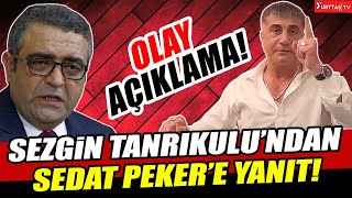 Sezgin Tanrıkulu Sedat Pekere Yanıt Verdi Olay Açıklamalar