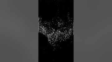 The Merge: Transition Loop #031/152