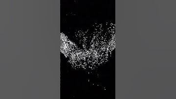 The Merge: Transition Loop #031/152