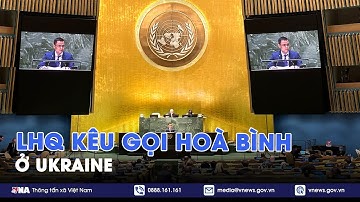 Liên hợp quốc kêu gọi nền hòa bình công bằng và bền vững ở Ukraine - Tin Thế giới - VNA