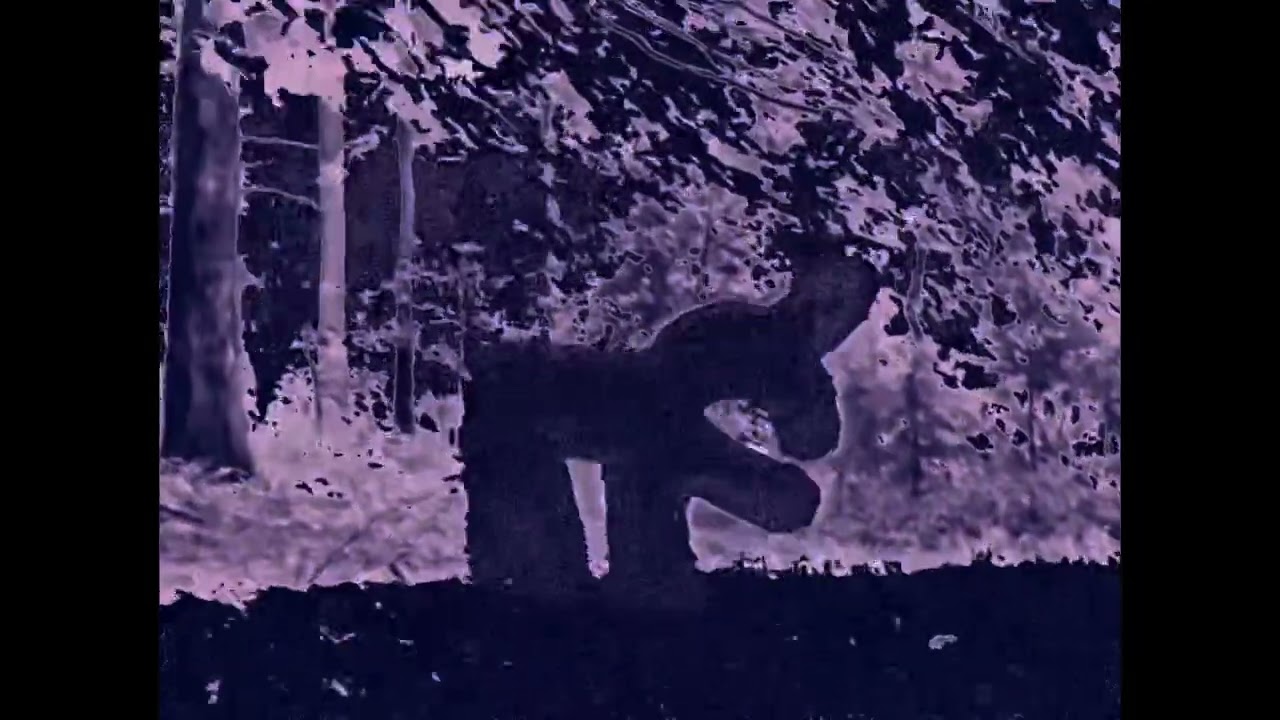 Pots Of Pink - Unicorn Music Video