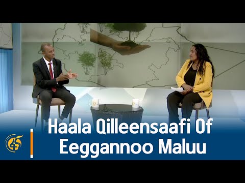 Haala Qilleensaafi Of Eeggannoo Maluu