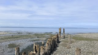 One of Washington’s Most Peaceful Morning Walks | Picnic Point Edmonds WA