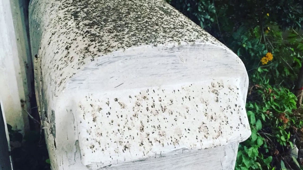 TAAL ASHFALL EXPERIENCED IN STA. ROSA LAGUNA 1-12-20