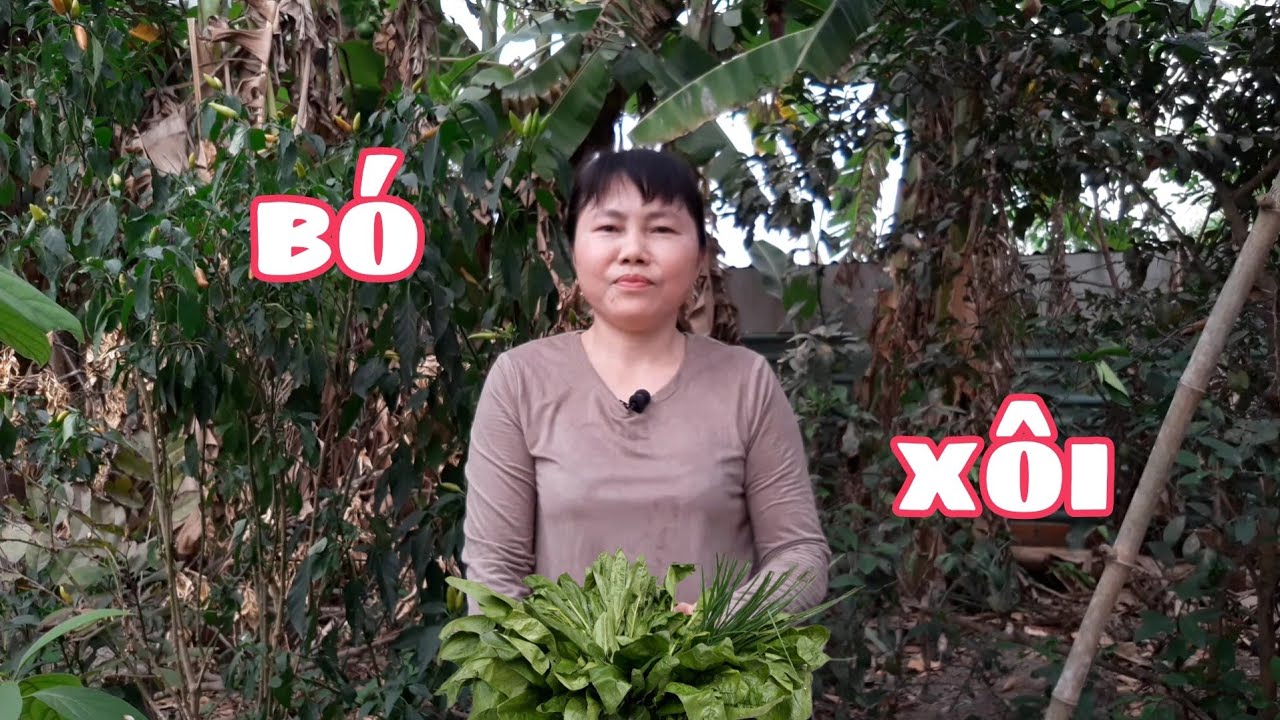 Cải Bó Xôi nấu Thịt Bằm / Tống Loạn. Spinach cooked with Minced Meat / Tong Loan.