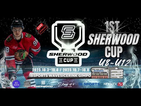 1ST SHERWOOD CUP 블루이글스U10 vs 울브즈U10 2025.10.03