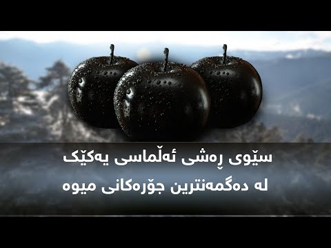 سێوی ڕەشی ئەڵماسی یەکێک لە دەگمەنترین جۆرەکانی میوە