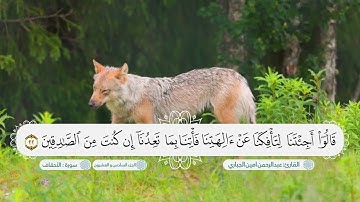 سورة الٲحقاف بصوت القارئ عبدالرحمن امين الجباري