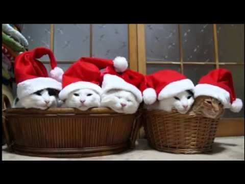 Sleduj Подарок на Новый Год 2019. Самый Лучший Новогодний Подарок 2019 na YouTube