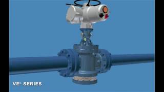 VE DBB Expanding Plug Valve Slip Maintenance Video