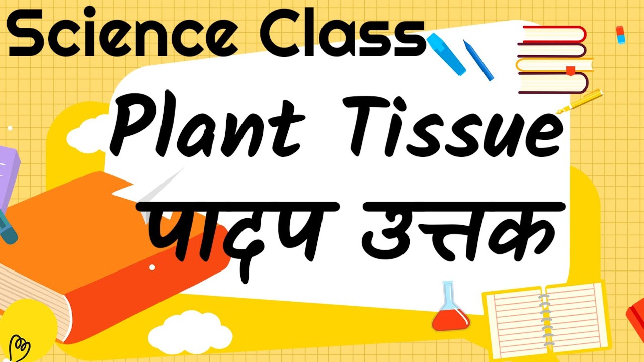 Plant Tissue (पादप उत्तक) Type of tissues in hindi पादप के प्रकार