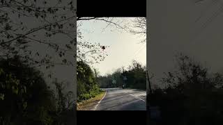 Jindagi Ka Safar Hai Ye Kaisa Safar  Kishore Kumar  Safar  Old Hindi Song  Kishore Kumar Song