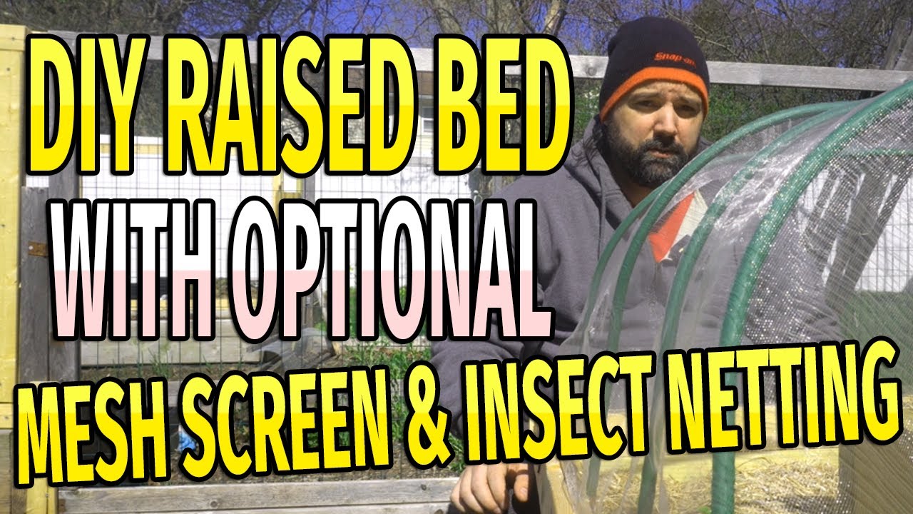 Ultimate DIY Raised Bed with Mesh Screen & Insect Netting